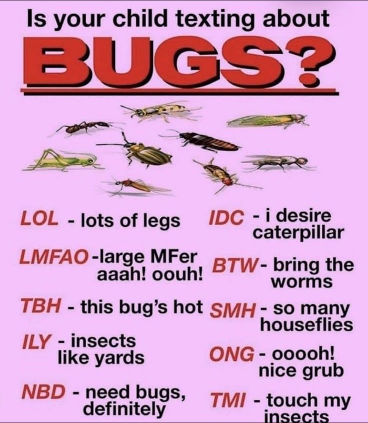 "is your child texting about BUGS?? LOL = Lots Of Legs, IDC = I desire catiplillers, etc."