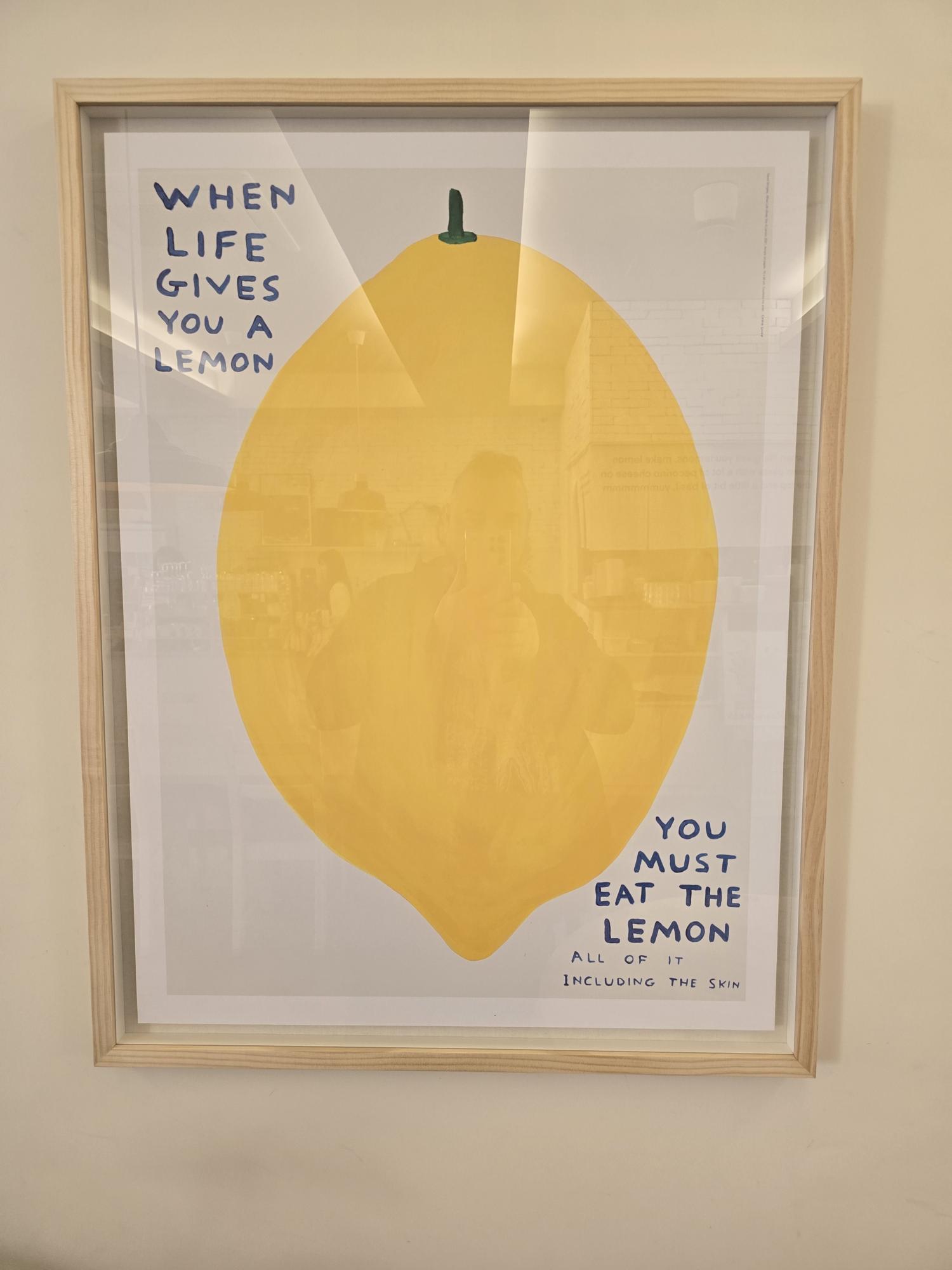 When Life Gives you a Lemon ...