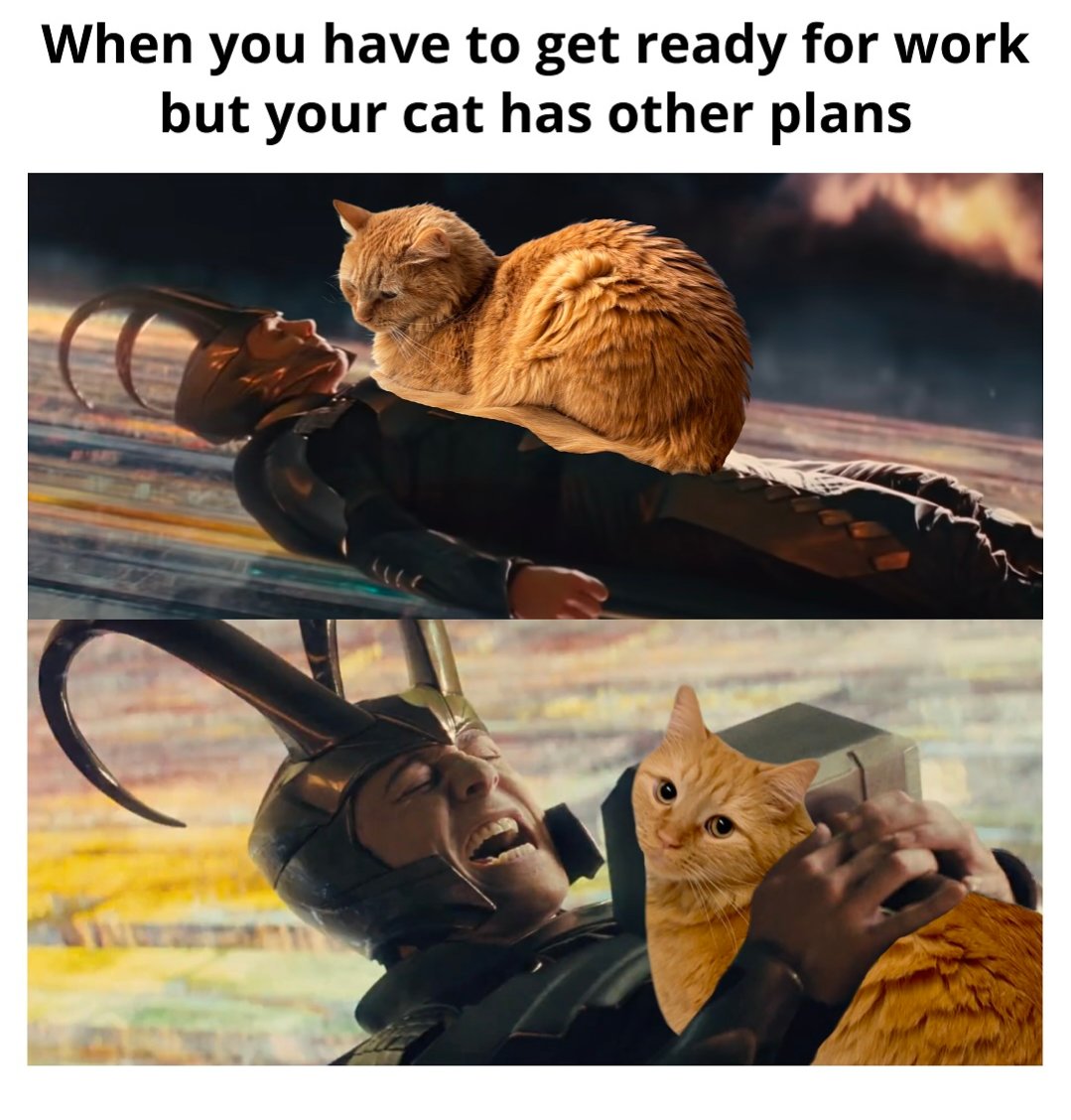 "when you have to get ready for work but the cat has others plans" with Loki from marvel movies squished by Thors hammer, except it's photoshopped to be an orange cat instead 