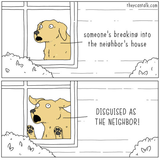 Two-panel comic by 'they can talk' showing a yellow dog looking out a window. Panel 1: the dog peers out with a shocked expression; caption reads, "someone's breaking into the neighbor's house." Panel 2: the dog presses its paws and face to the glass, eyes wide and shouting, "DISGUISED AS THE NEIGHBOR!"