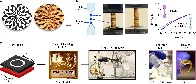 Durable plastic gets a sustainability makeover in novel polymerization process