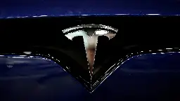 Tesla starts 2025 with sharp drop in sales in Europe